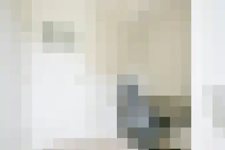 Droge Wijmersweg 5 102 Wervershoof thumbnail 16