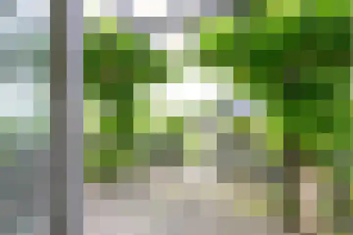 Droge Wijmersweg 5 102 Wervershoof thumbnail 19