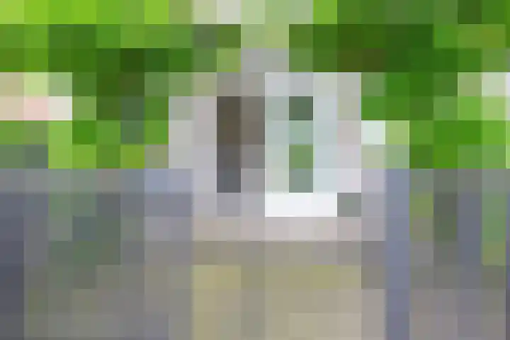 Droge Wijmersweg 5 102 Wervershoof thumbnail 20