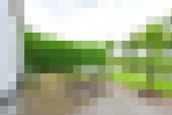Droge Wijmersweg 5 102 Wervershoof thumbnail 22