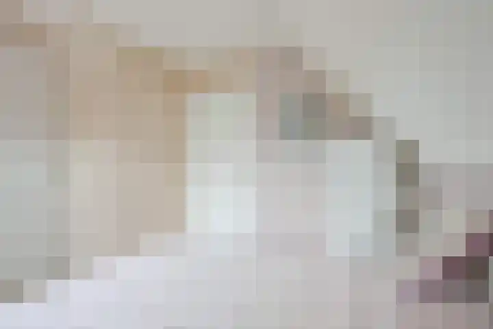 Droge Wijmersweg 5 102 Wervershoof thumbnail 27