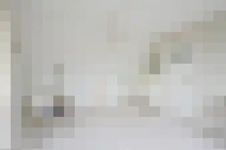Droge Wijmersweg 5 102 Wervershoof thumbnail 29