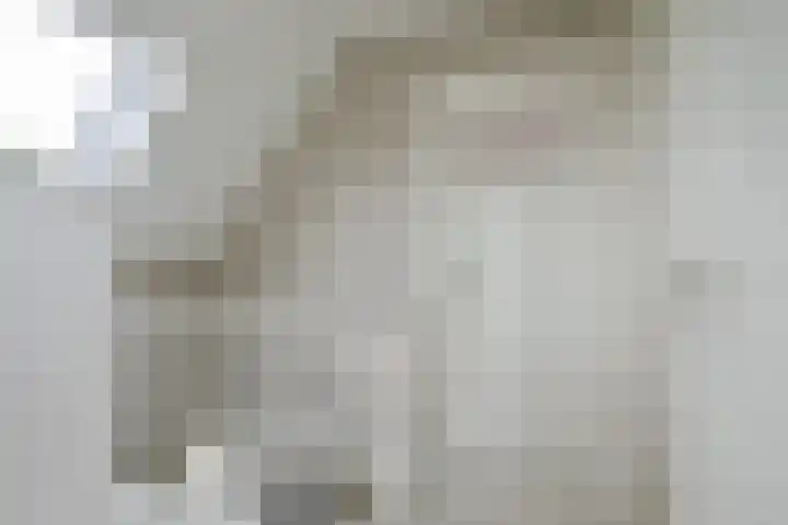 Droge Wijmersweg 5 102 Wervershoof thumbnail 32