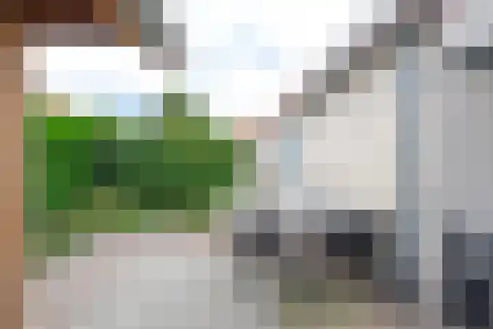 Droge Wijmersweg 5 102 Wervershoof thumbnail 38