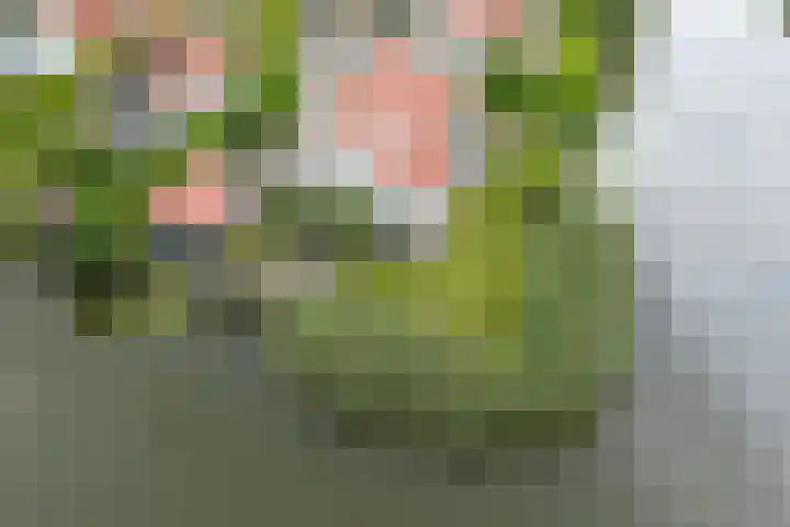 Droge Wijmersweg 5 102 Wervershoof thumbnail 39