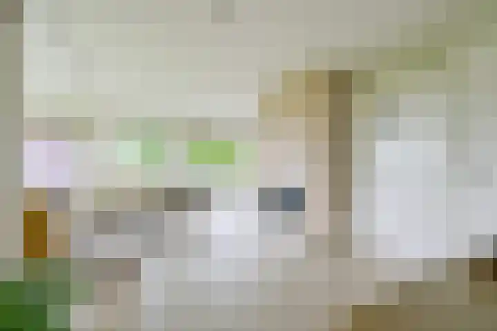 Droge Wijmersweg 5 102 Wervershoof thumbnail 4