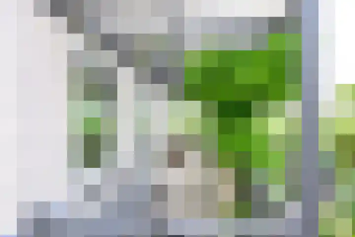 Droge Wijmersweg 5 102 Wervershoof thumbnail 40