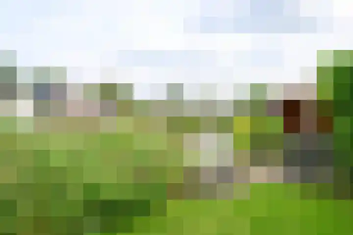 Droge Wijmersweg 5 102 Wervershoof thumbnail 42