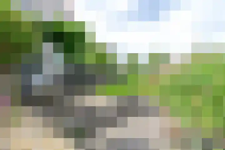 Droge Wijmersweg 5 102 Wervershoof thumbnail 43