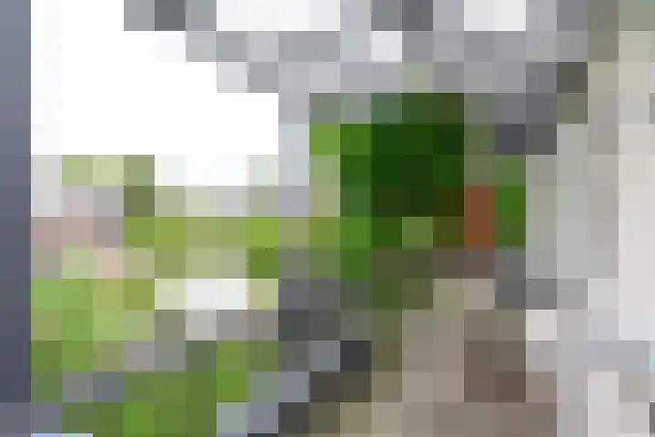 Droge Wijmersweg 5 102 Wervershoof thumbnail 44