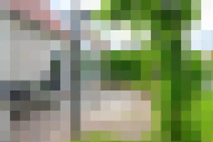 Droge Wijmersweg 5 102 Wervershoof thumbnail 46