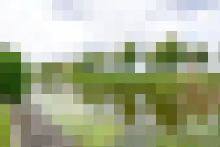 Droge Wijmersweg 5 102 Wervershoof thumbnail 47