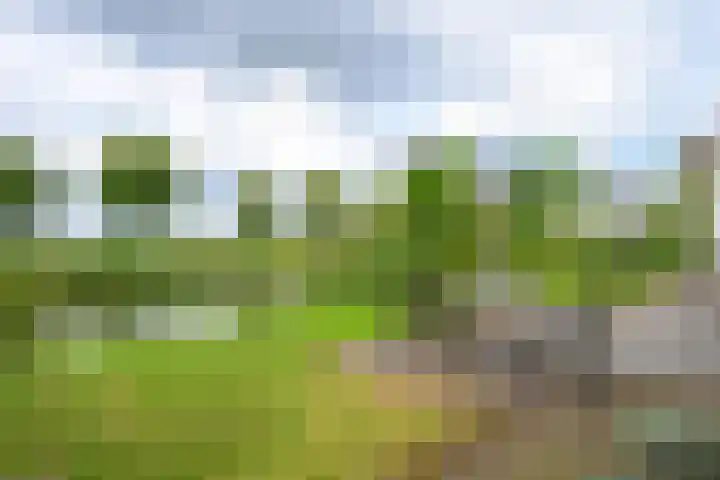 Droge Wijmersweg 5 102 Wervershoof thumbnail 48