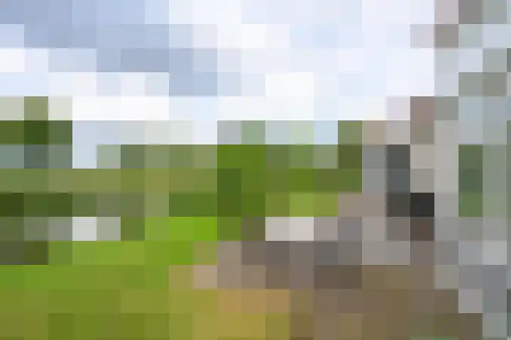 Droge Wijmersweg 5 102 Wervershoof thumbnail 49