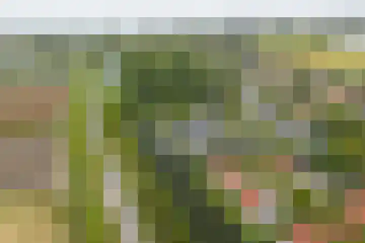 Droge Wijmersweg 5 102 Wervershoof thumbnail 54