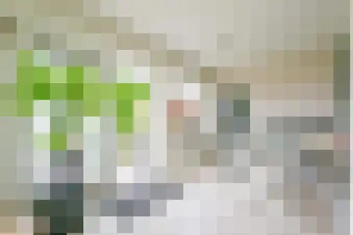 Droge Wijmersweg 5 102 Wervershoof thumbnail 7