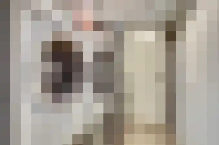 Droge Wijmersweg 5 107 Wervershoof thumbnail 15