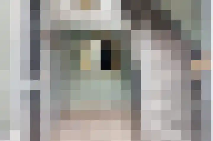 Droge Wijmersweg 5 107 Wervershoof thumbnail 16