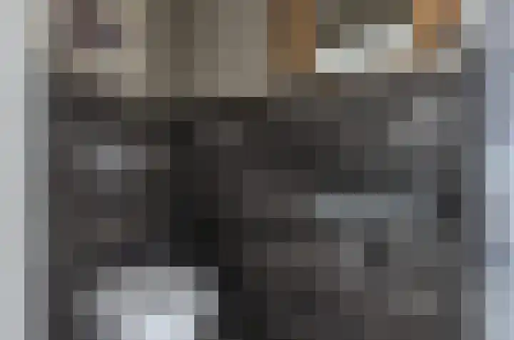 Droge Wijmersweg 5 107 Wervershoof thumbnail 19