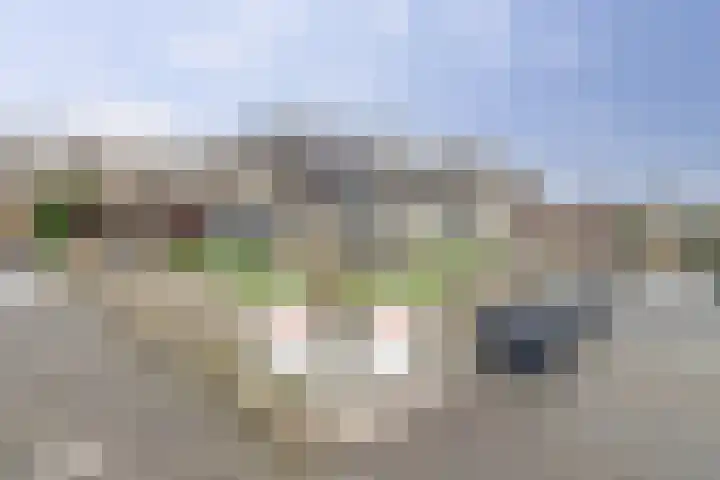 Droge Wijmersweg 5 107 Wervershoof thumbnail 29
