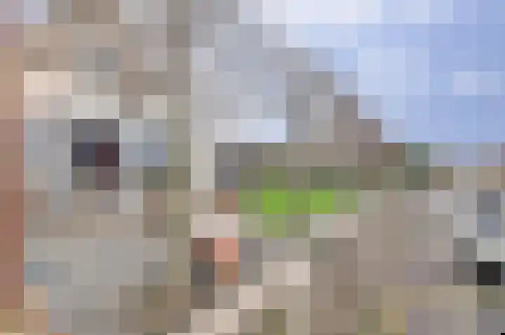 Droge Wijmersweg 5 107 Wervershoof thumbnail 31