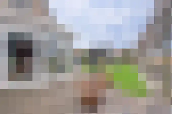 Droge Wijmersweg 5 107 Wervershoof thumbnail 32