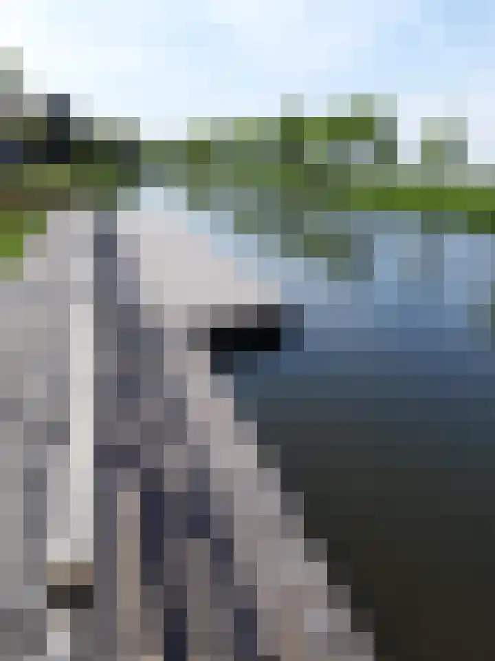 Droge Wijmersweg 5 107 Wervershoof thumbnail 34
