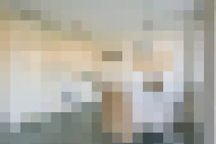 Droge Wijmersweg 5 119 Wervershoof thumbnail 12