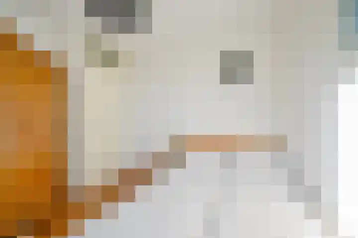 Droge Wijmersweg 5 119 Wervershoof thumbnail 19