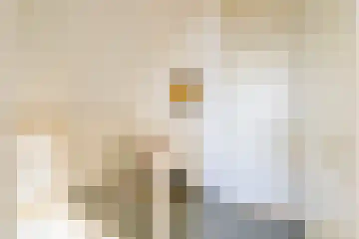 Droge Wijmersweg 5 119 Wervershoof thumbnail 24