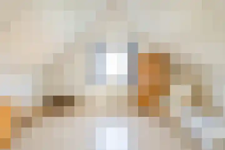Droge Wijmersweg 5 119 Wervershoof thumbnail 25