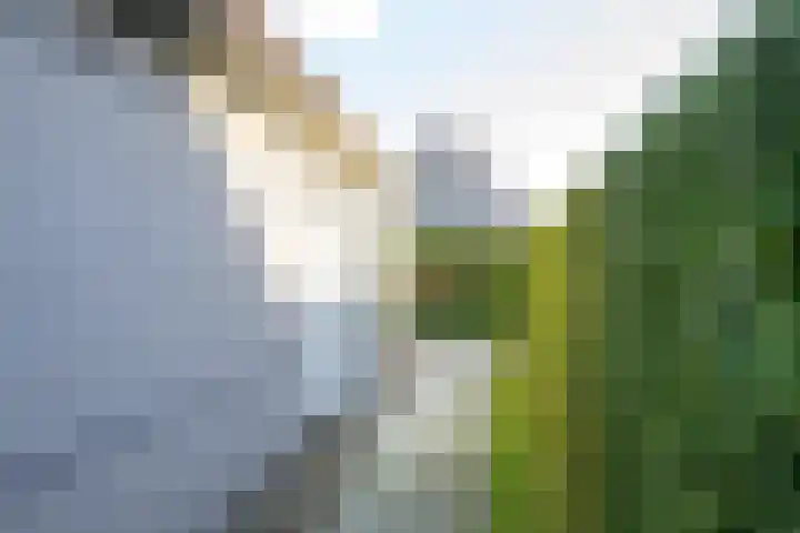 Droge Wijmersweg 5 119 Wervershoof thumbnail 35