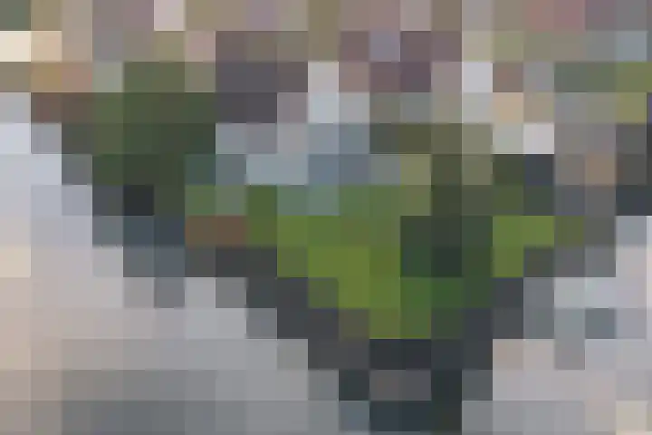 Droge Wijmersweg 5 119 Wervershoof thumbnail 38