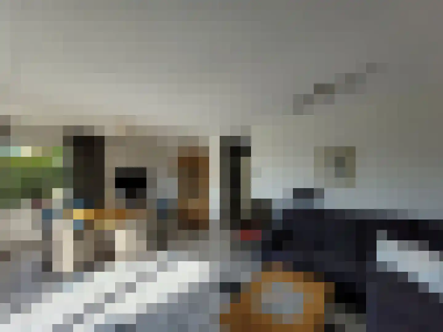 Droge Wijmersweg 5 121 Wervershoof thumbnail 10