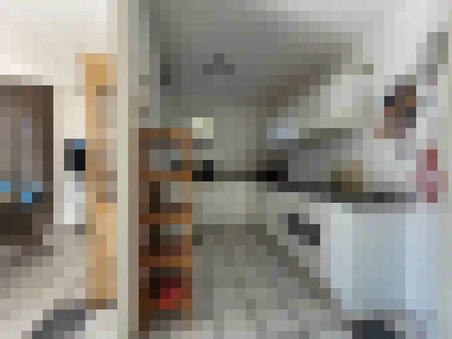Droge Wijmersweg 5 121 Wervershoof thumbnail 13
