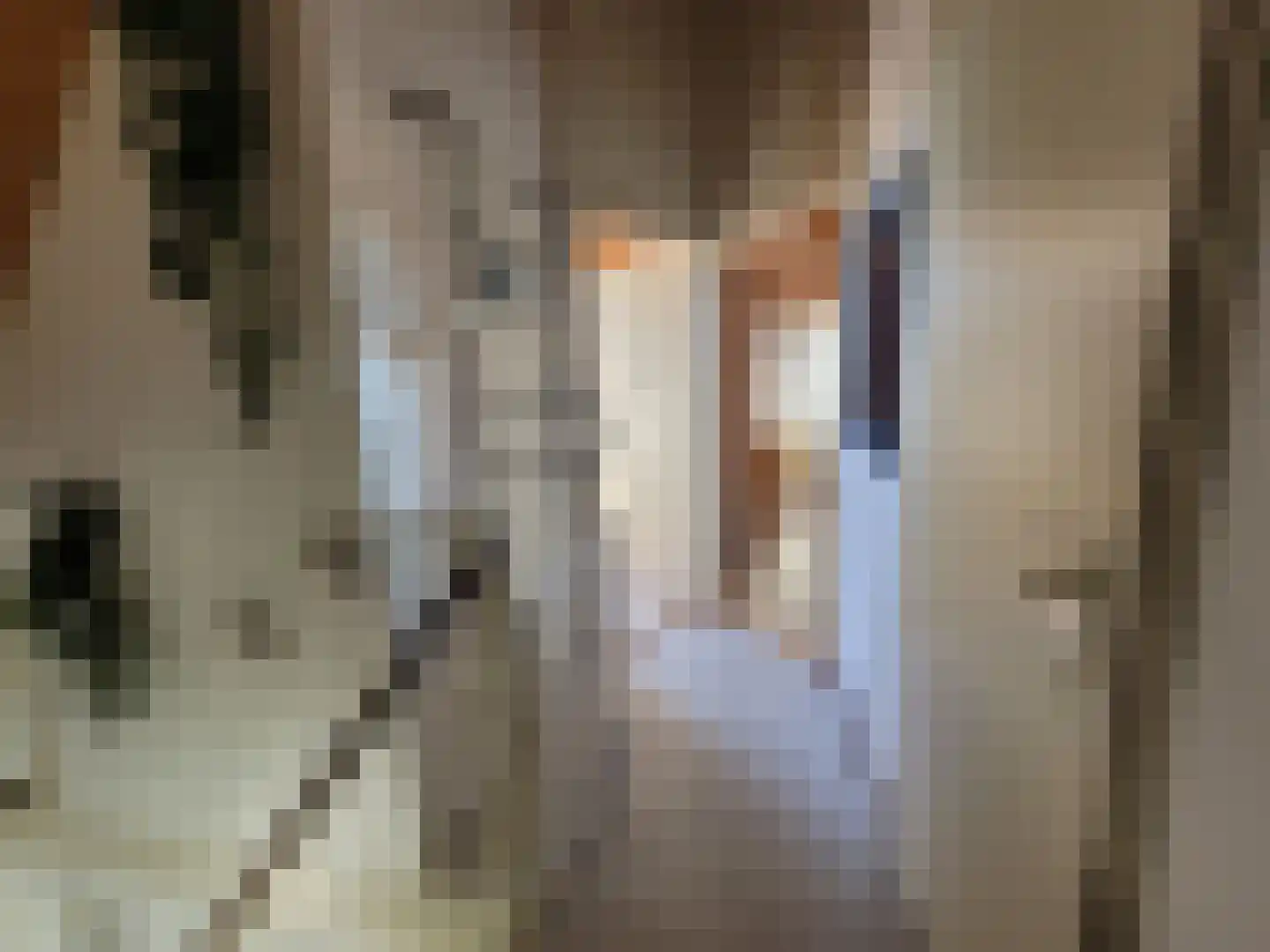 Droge Wijmersweg 5 121 Wervershoof thumbnail 23