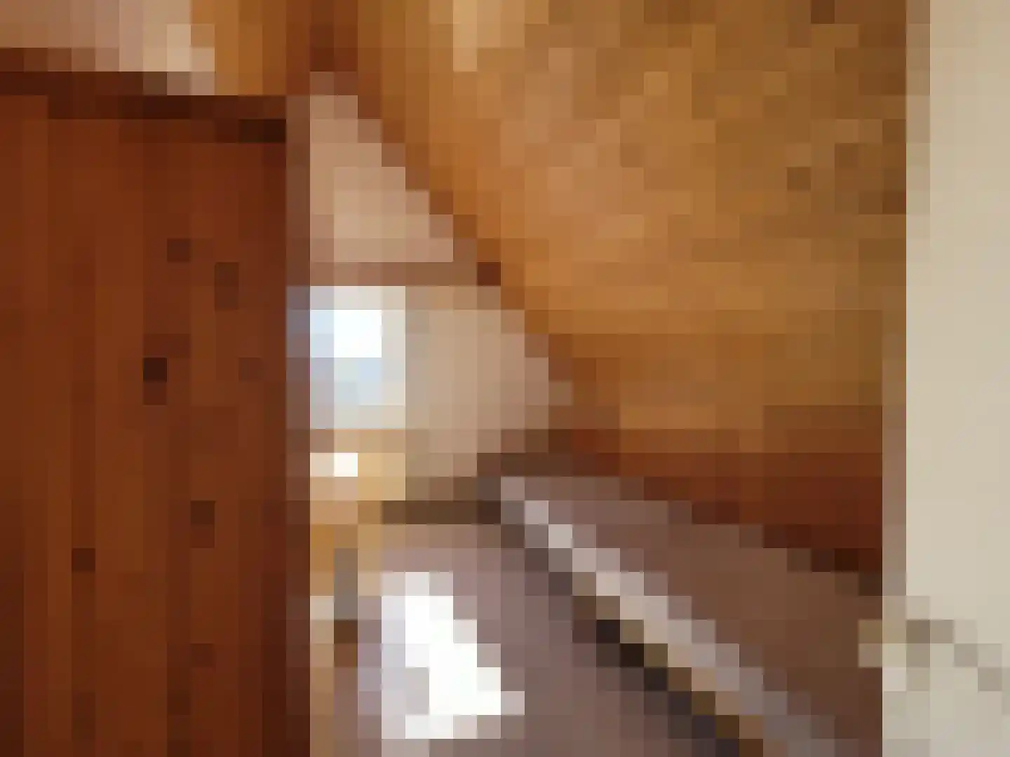 Droge Wijmersweg 5 121 Wervershoof thumbnail 27