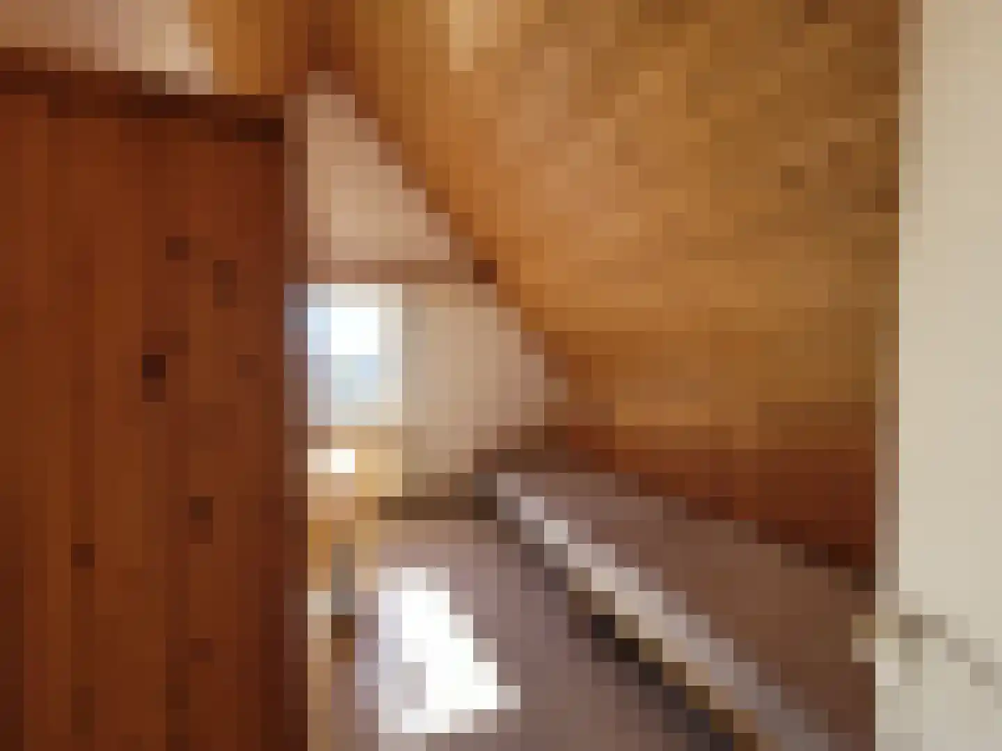 Droge Wijmersweg 5 121 Wervershoof thumbnail 30