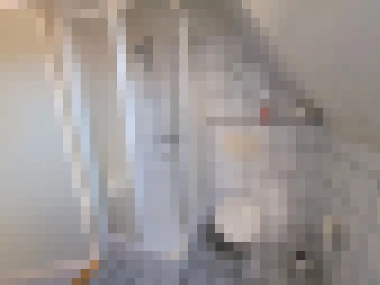 Droge Wijmersweg 5 121 Wervershoof thumbnail 35