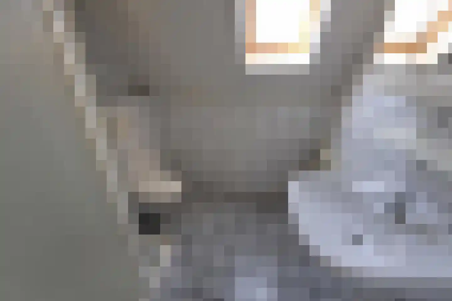 Droge Wijmersweg 5 121 Wervershoof thumbnail 36