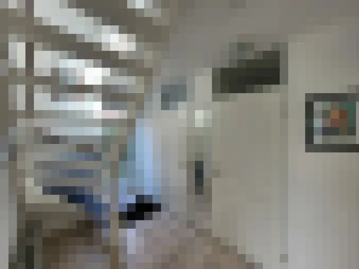 Droge Wijmersweg 5 128 Wervershoof thumbnail 10