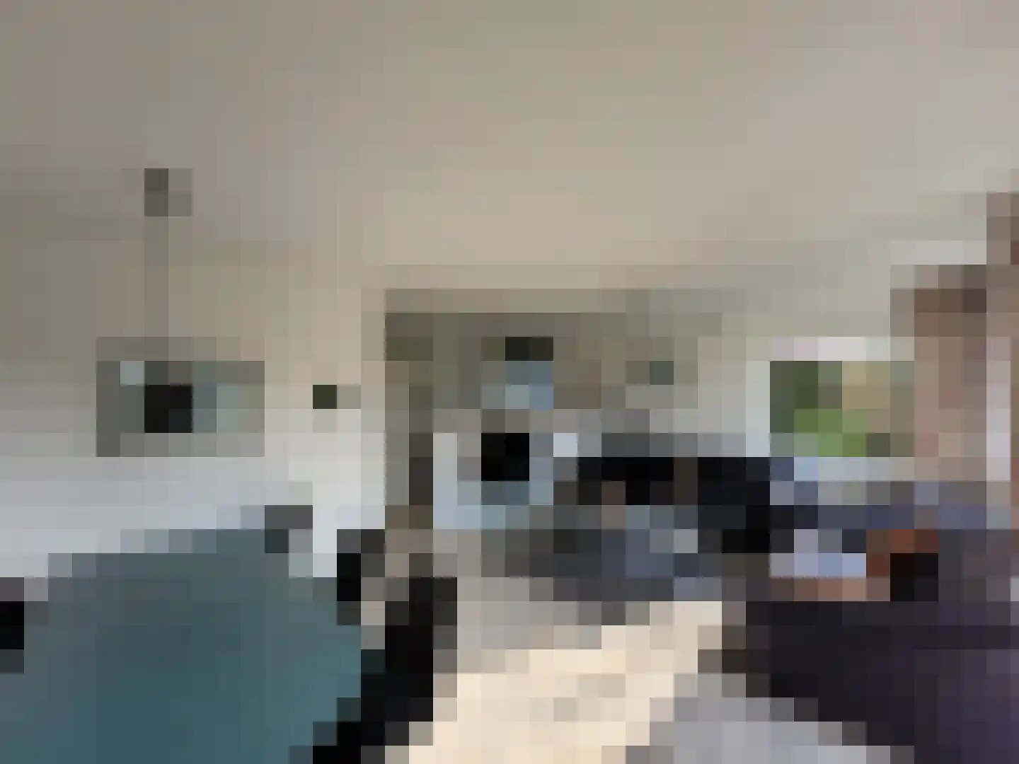 Droge Wijmersweg 5 128 Wervershoof thumbnail 5