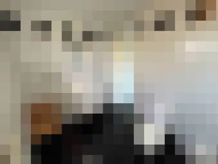 Droge Wijmersweg 5 140 Wervershoof thumbnail 12