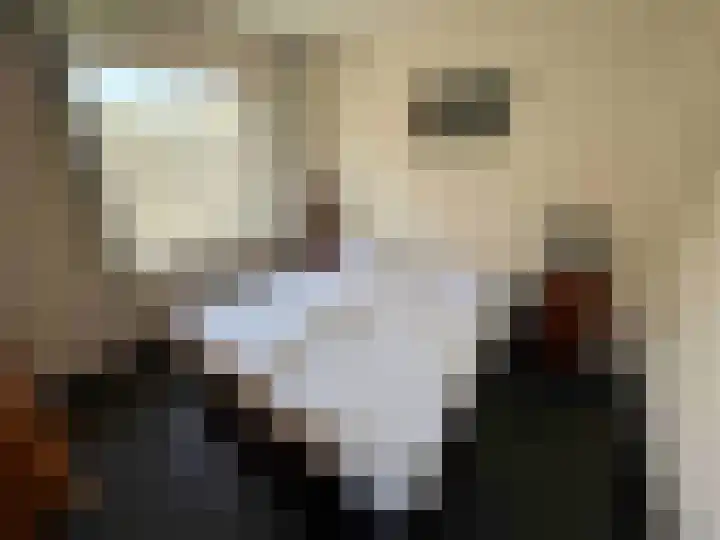 Droge Wijmersweg 5 140 Wervershoof thumbnail 15