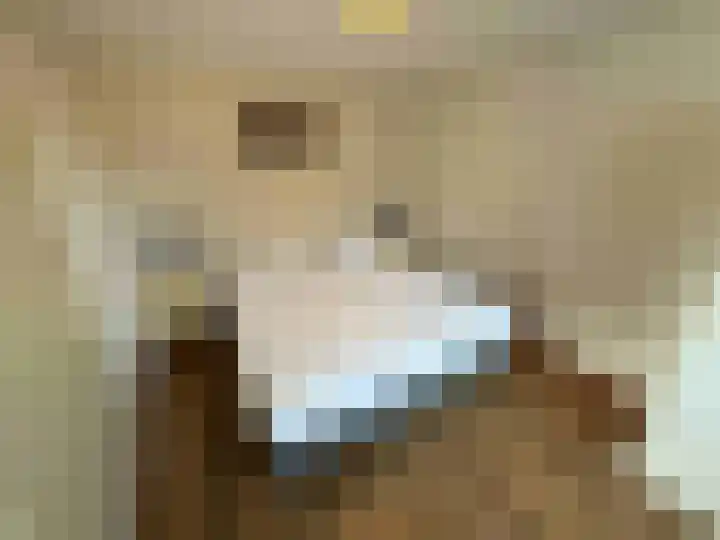 Droge Wijmersweg 5 140 Wervershoof thumbnail 16