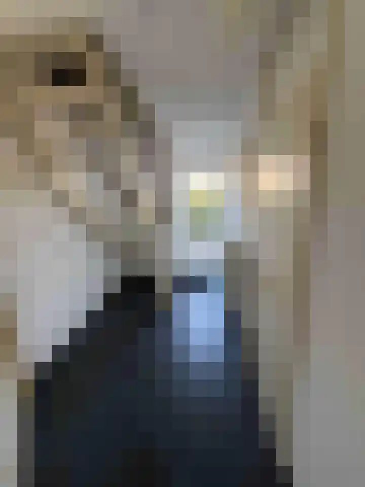 Droge Wijmersweg 5 140 Wervershoof thumbnail 17