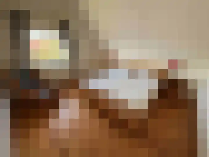 Droge Wijmersweg 5 140 Wervershoof thumbnail 18
