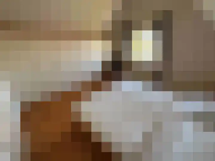 Droge Wijmersweg 5 140 Wervershoof thumbnail 19