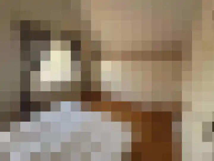 Droge Wijmersweg 5 140 Wervershoof thumbnail 20