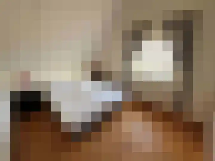 Droge Wijmersweg 5 140 Wervershoof thumbnail 21